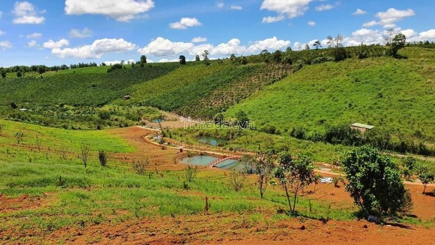 Bán đất nền Bảo Lộc gần thác Dambri với giá 1 tỷ 600