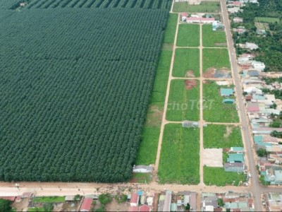 Bán Đất Đấu Giá Xã Phú Lộc Huyện Krong Năng