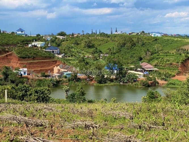 Chính chủ gửi bán 933m2 có sẵn 200m2 view hồ tự nhiên ngay thành phố Bảo Lộc