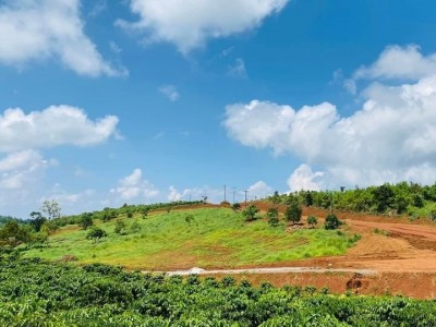 Bán đất nền khu nghỉ dưỡng Bảo Lộc với giá 990 triệu