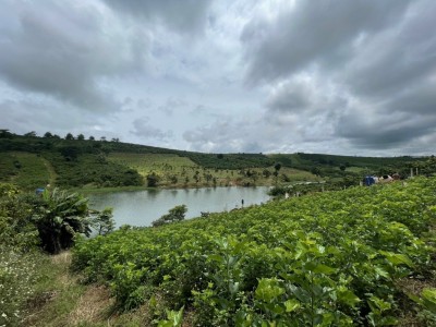Cần bán tài sản view hồ cực đẹp tại Bảo Lâm - Lâm Đồng quy hoạch phủ hồng ONT  giá chỉ 1,7 tỷ 