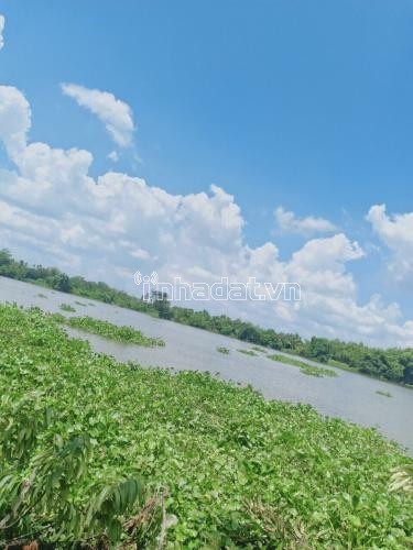 Bán các thửa đất mặt tiền bờ bao sông Sài Gòn, An Tây, Bến Cát. Giá: 5 triệu / m2, thương lượng chính chủ.