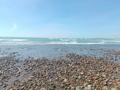 Bán đất thổ cư ven biển, gần khu du lịch Cổ Thạch Tuy Phong